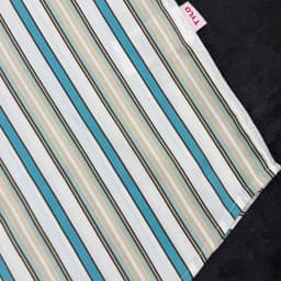 Aqua Stripe Katua view 2
