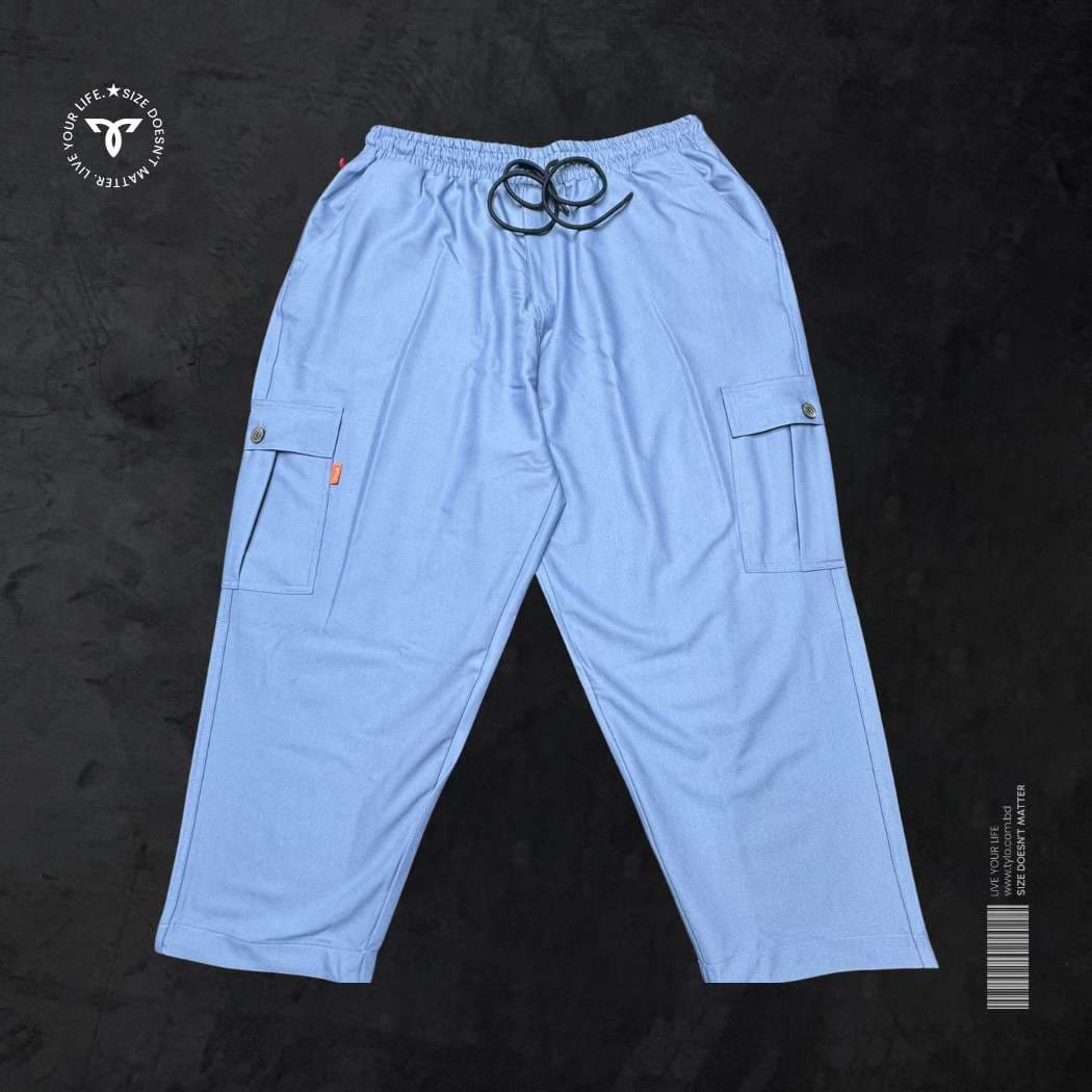 Steel Blue Cargo Pant showcase 2