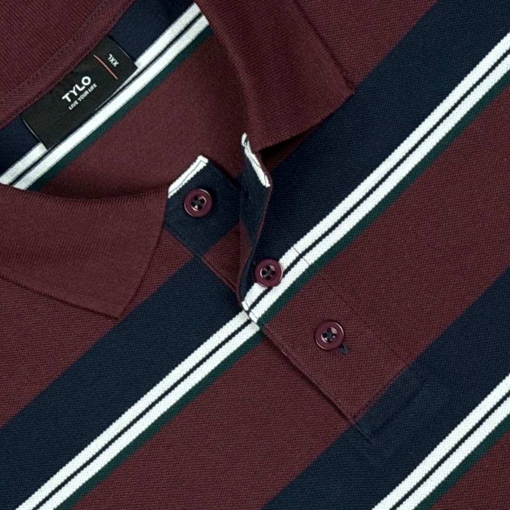 Burgundy Navy Multi-Stripe Polo T-Shirt showcase 3